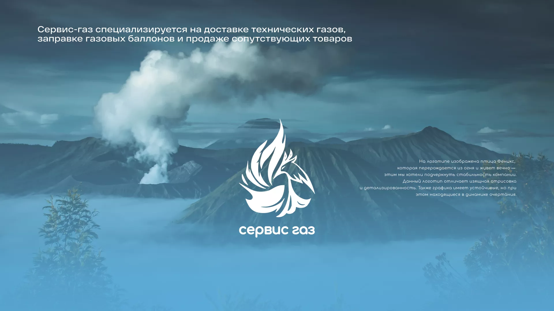 Создание сайта компании «Сервис газ» в Холме