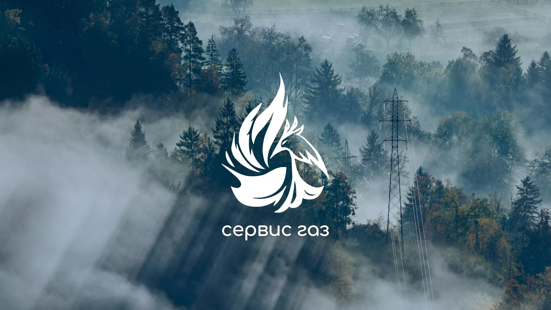 Создание сайта компании «Сервис газ» в Холме