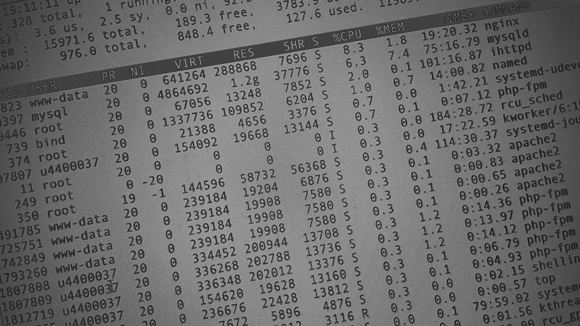 Настройка сервера в Холме