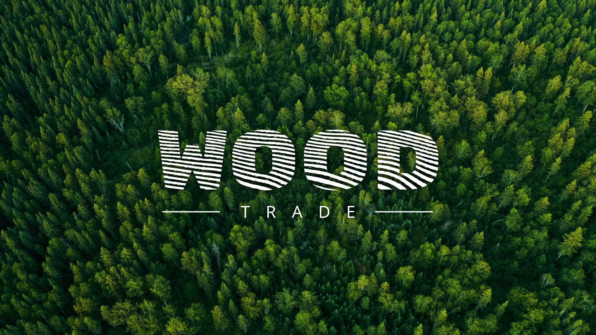 Разработка интернет-магазина компании «Wood Trade» в Холме