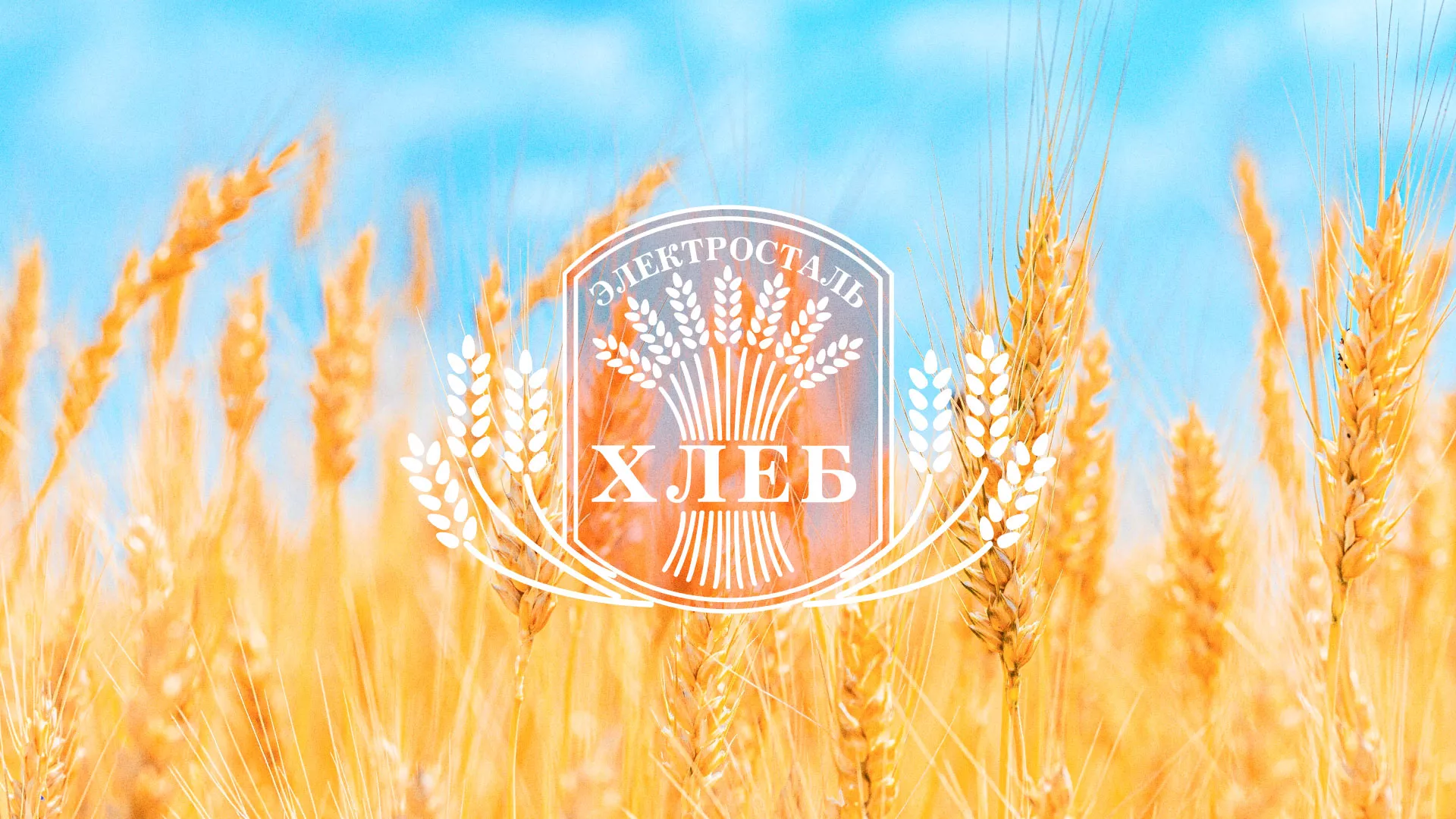 Создание сайта для хлебзавода в Холме