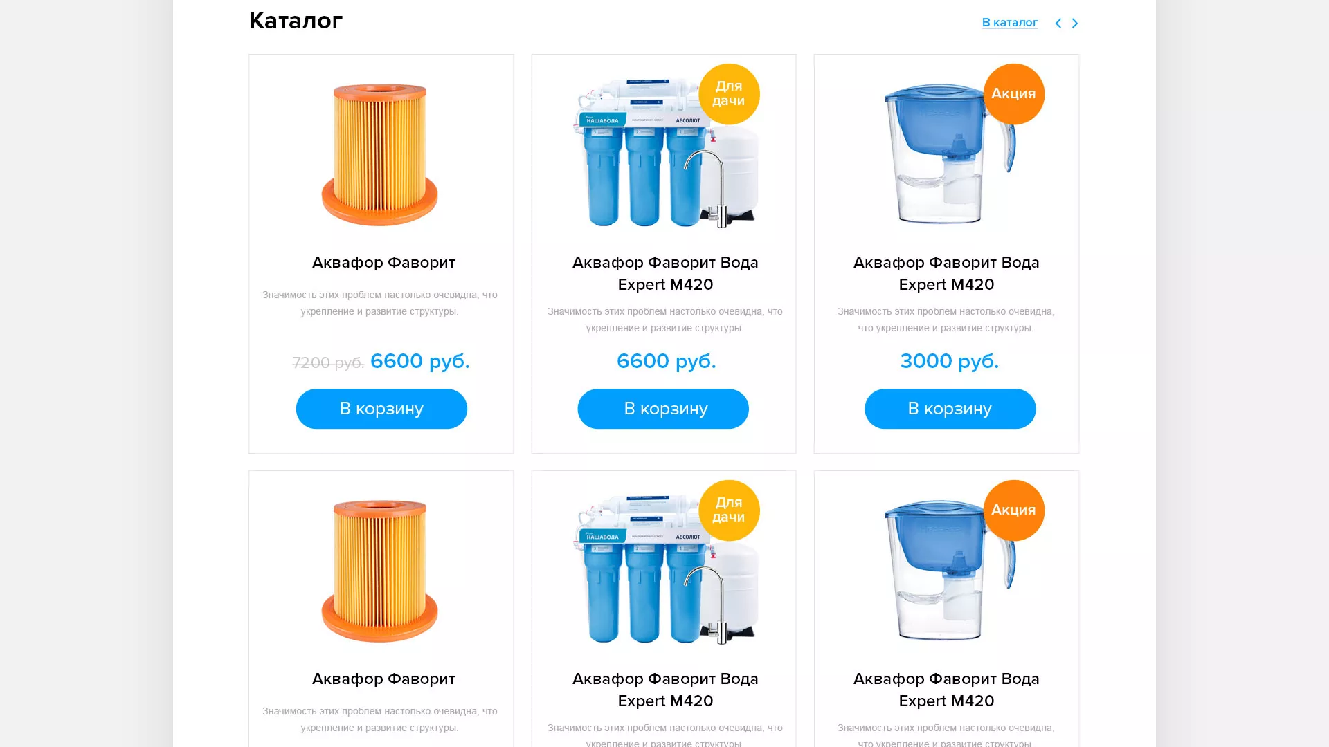 Создание интернет-магазина «Водолей» по продаже фильтров очистных сооружений в Холме